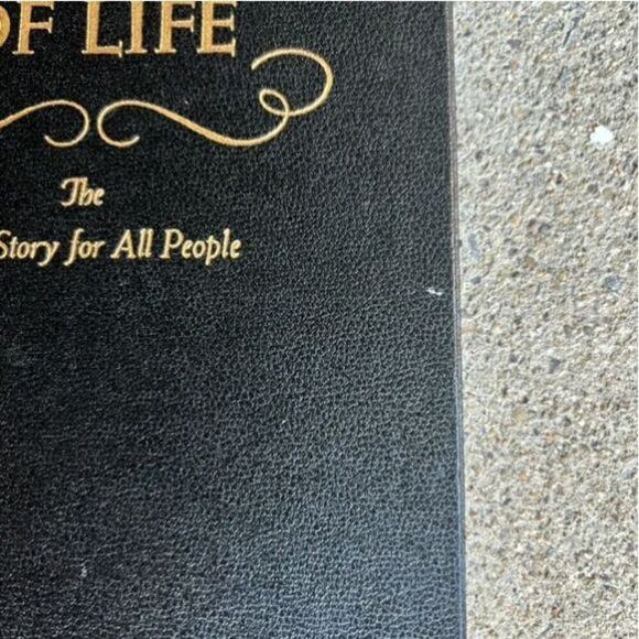 Treasures Of Life Getting The Most From Treasures Of Life - Picture 2 of 10